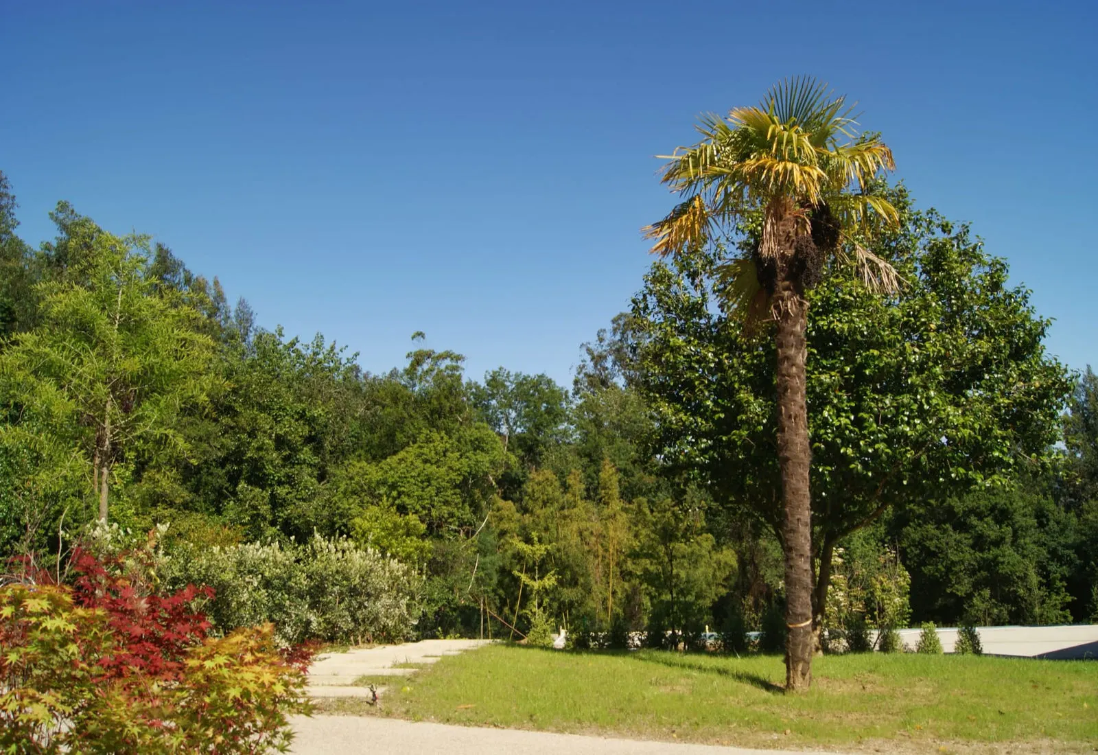 Jardín